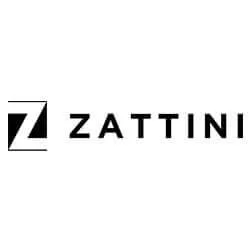 Zattini
